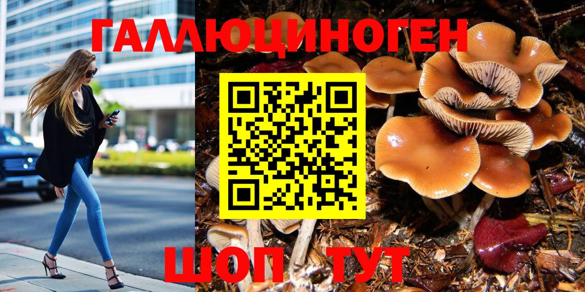 Галлюциногенные грибы Magic Shrooms  сколько стоит  Челябинск  Вход с VPN 