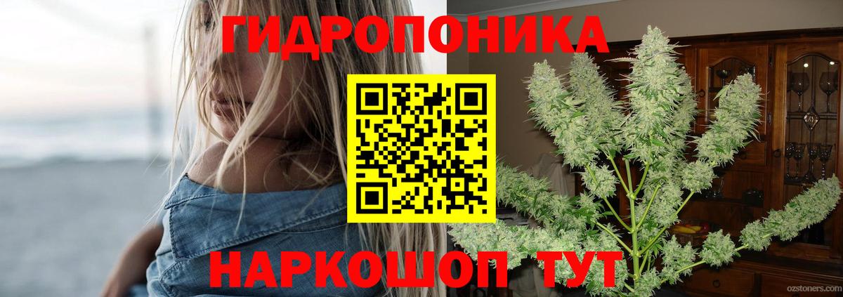 Каннабис планчик Челябинск